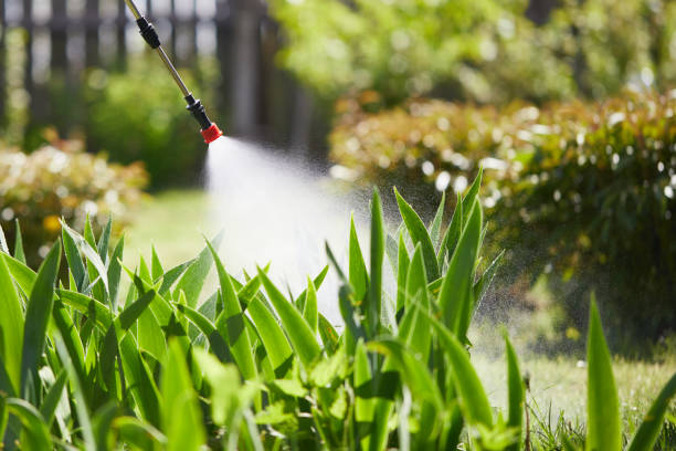 24/7 Emergency Ant Control experts in Edwardsville, IL
